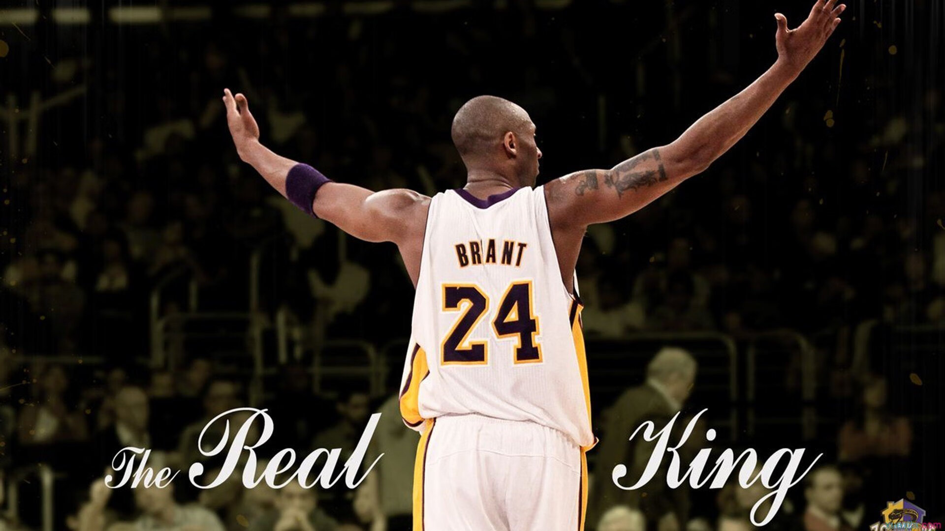 日本队奋勇前进，目标明确！，日本队队员